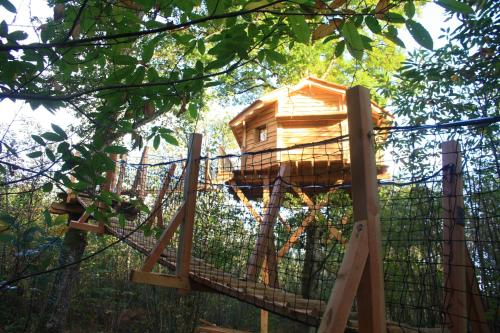 Ô Bois Dormant gîte à louer Ligueux