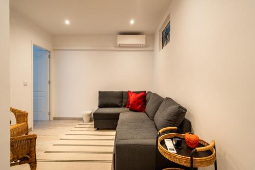 Akicity Anjos Splendid - image 8