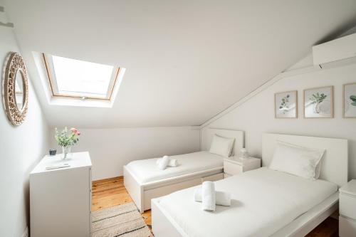 Akicity Anjos Splendid - image 5