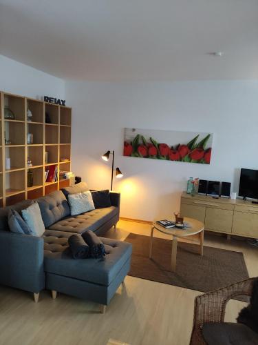 Ferienappartement Potthoff 1 - Apartment - Altenau