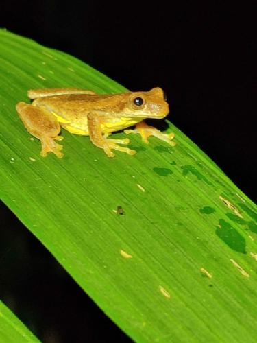 Mindo Garden Lodge and Wildlife Reserve