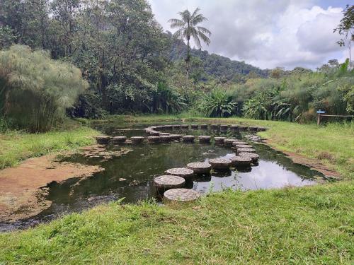 Mindo Garden Lodge and Wildlife Reserve