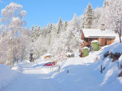 Chalet de Marie proche des Saisies - Queige