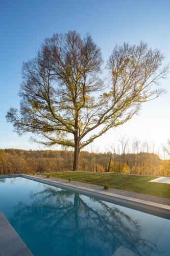 Villa Ulmus near Motovun for 6 people with heated pool & jacuzzi