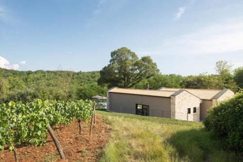 Villa Ulmus near Motovun for 6 people with heated pool & jacuzzi