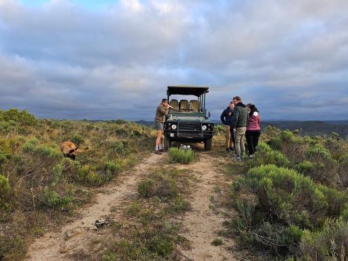 Garden Route Safari Camp