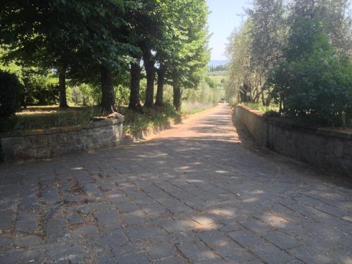 Villa La Cerretana - image 2