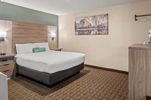 Buck Meadows Lodge Room Type - Queen Room