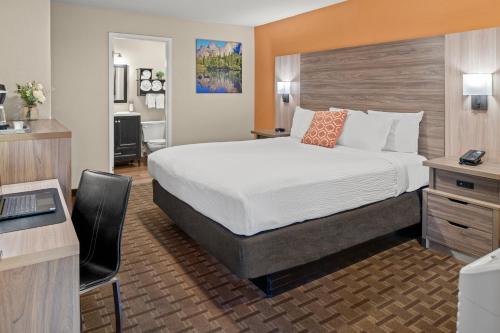 1 king bed