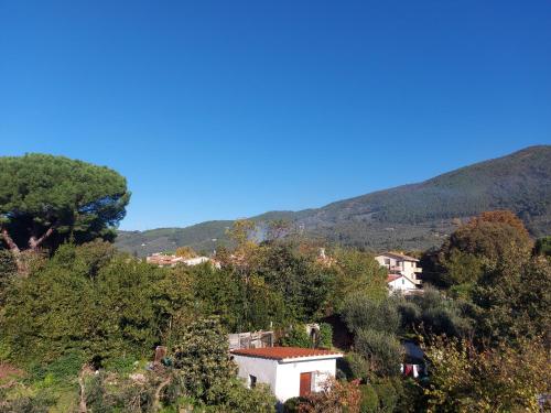  San Rocco Appartamenti 2 - Appartamento IL CASTAGNO in Asciano Pisano
