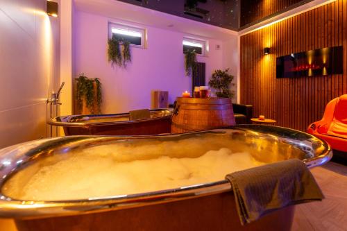 Spa, Wellness Hotel Koliba in Komorni Lhotka