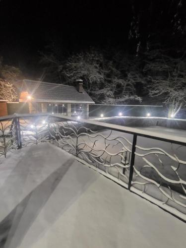 БЕРЕЗИНИ - Simer