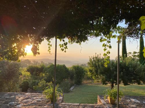 Вид, Abbadia Wine Relais in Торріті ді Сієна