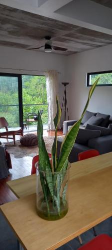 Pousada IMcasa 430 in Monte Belo Do Sul