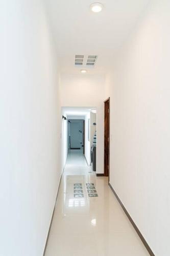 Árbol de Guanacaste (Arbol de Guanacaste) in 시타쿠아로