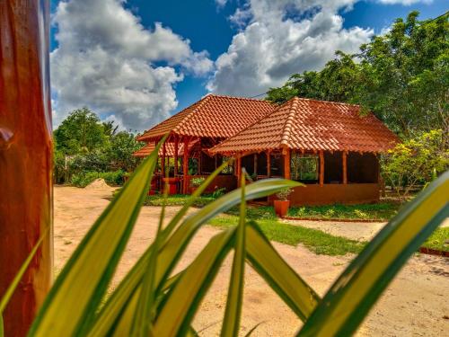 Ceylon Amigos Eco Resort