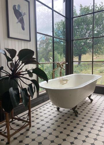 浴室, Blue Hills Luxury Farm Stay in 蒂爾瓦蒂爾瓦