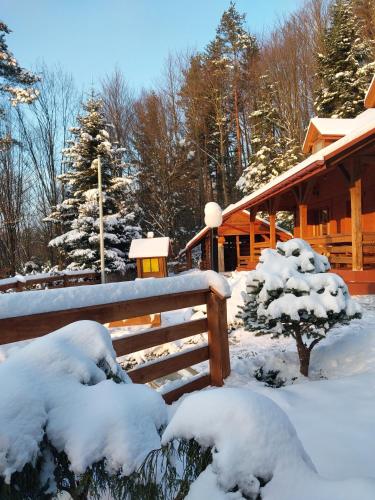 Agroturystyka - AGRODOMEK, Nozdrzec (foto 9)