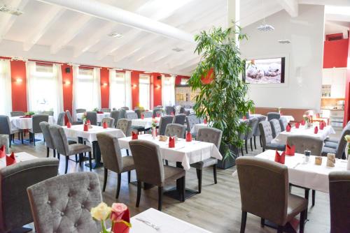 Ferienpark Templin - image 7