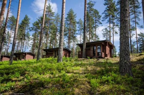 Ahvenlampi Camping Hostel - Hotel - Saarijärvi