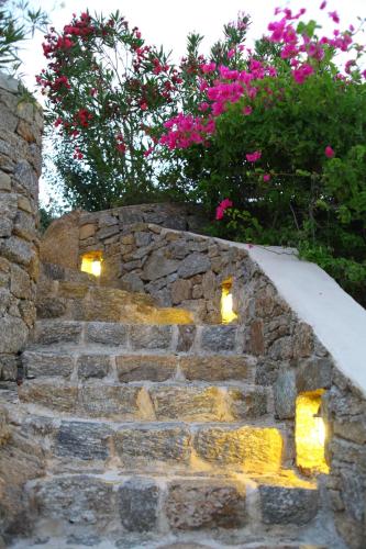 Nama Villas - image 4