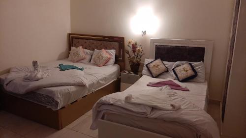 Queen Isis pyramids view