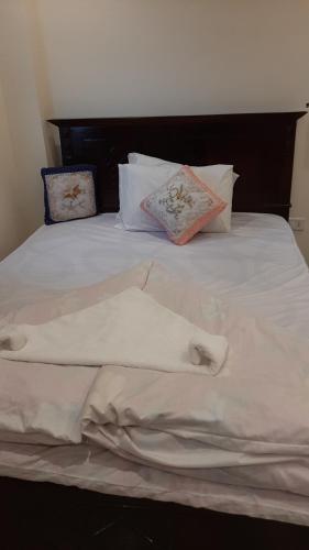 Queen Isis pyramids view