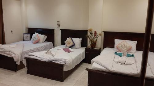 Queen Isis pyramids view