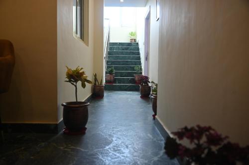 King Room with Garden View image 7
