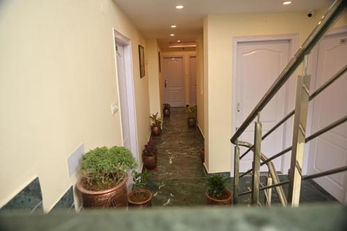 Standard Double Room image 10