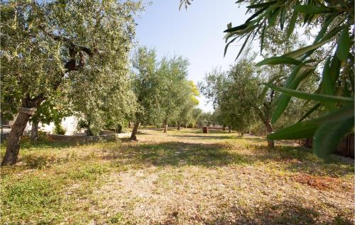 Cozy Home In Monte Santangelo With Kitchen