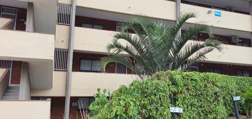 *502 Shoreline Beach Flat* Strictly Halaal in Freeland Park