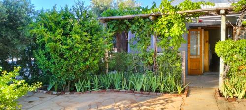 Loveable Karoo Cottages