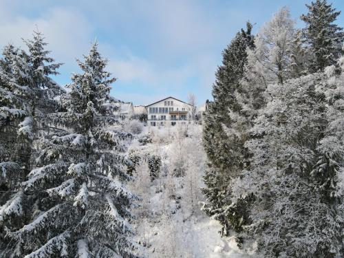 Landhotel Fernsicht - Hotel - Winterberg