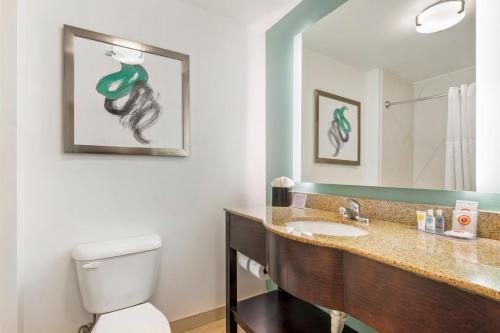 Comfort Inn & Suites - image 14