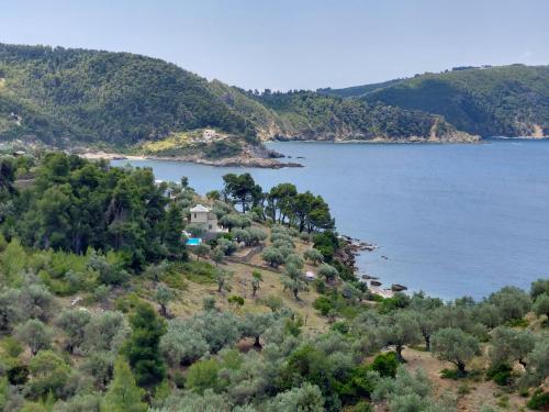 Ammos Beach Villa - image 9