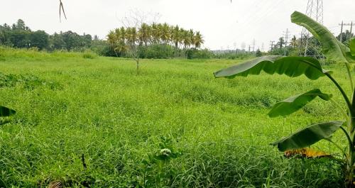 "GreenHeart" Eco - Family only Room ' Groundfloor- outdoor Veranda, Dining area ' Find Peace and Tranquility of Nature