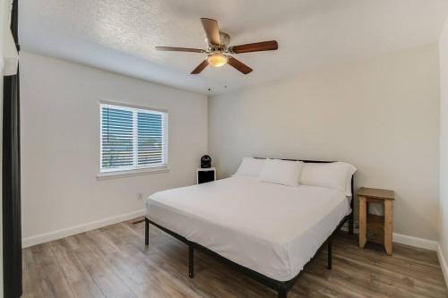 Loma NE Heights 3 bedroom Pool/HotTub! in Albuquerque, USA