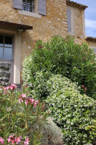 La Paradisse – exceptional Provençal farmhouse (18th century)