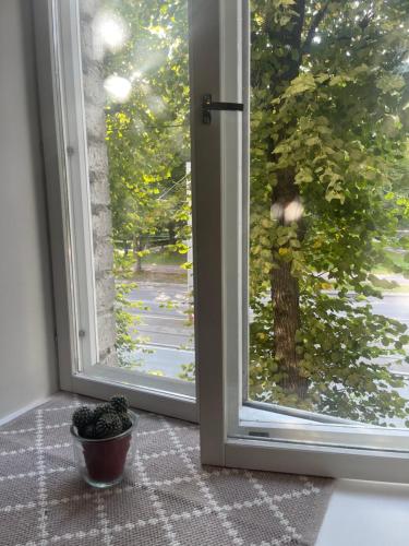 Deluxe art apartment in heart of Tallinn, Tallinn (photo 3)