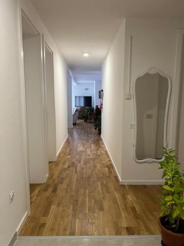 Apartment Comfy Home