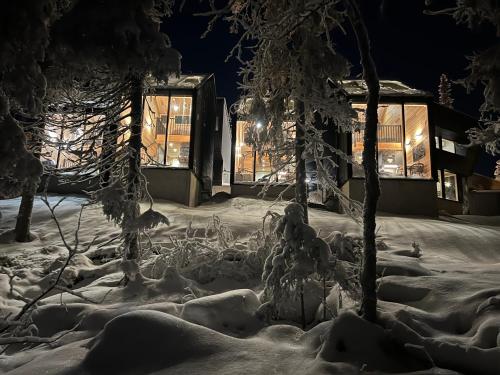 Exterior view, Villa Auroras Karhu in Syote