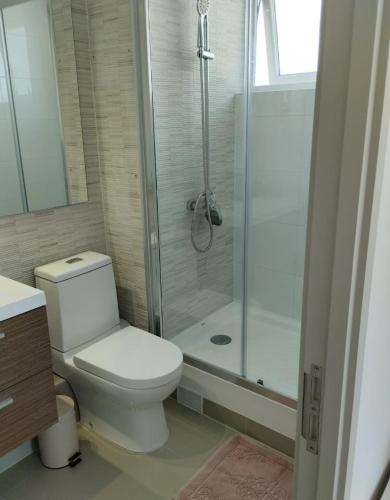 Departamento central viña - image 5