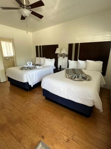 Cambria Palms Motel - image 13