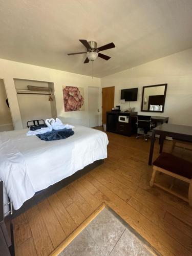 King Room - Disability Access