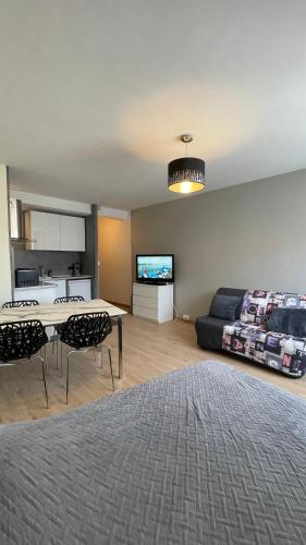 GRAND STUDIO proche du centre ville, Straßburg (Foto 4)