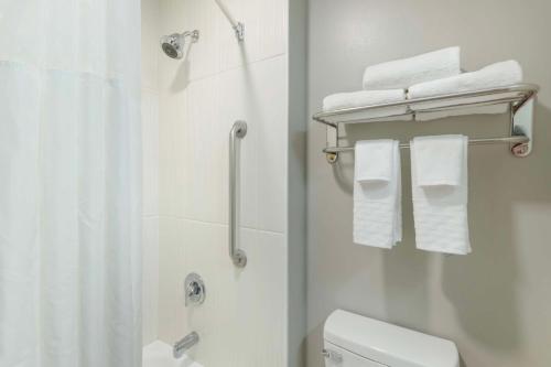 Best Western PLUS Edinburg Inn & Suites