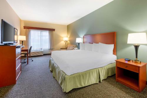 1 queen bed