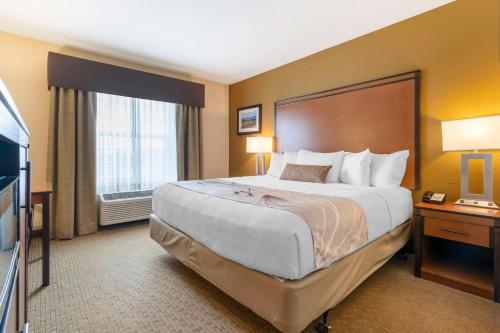 Best Western Plus Bend North - image 12