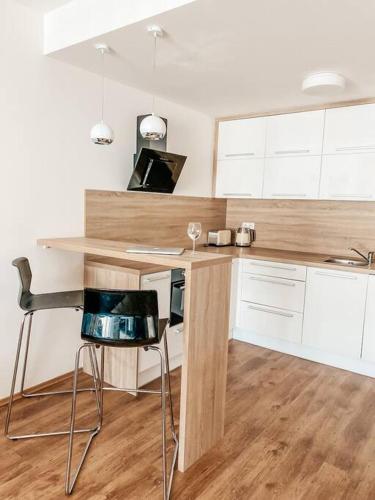 Cozy apartment next to Presidential palace, Bratislava (fotografie 2)